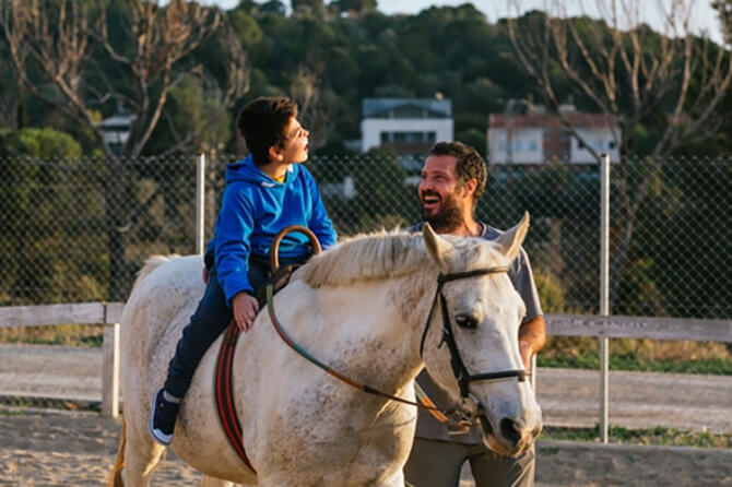 Equine therapy