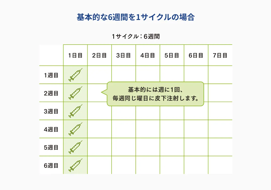 基本的な6週間を1サイクルの場合