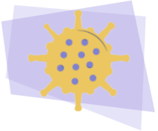traitements systémiques antibiotiques