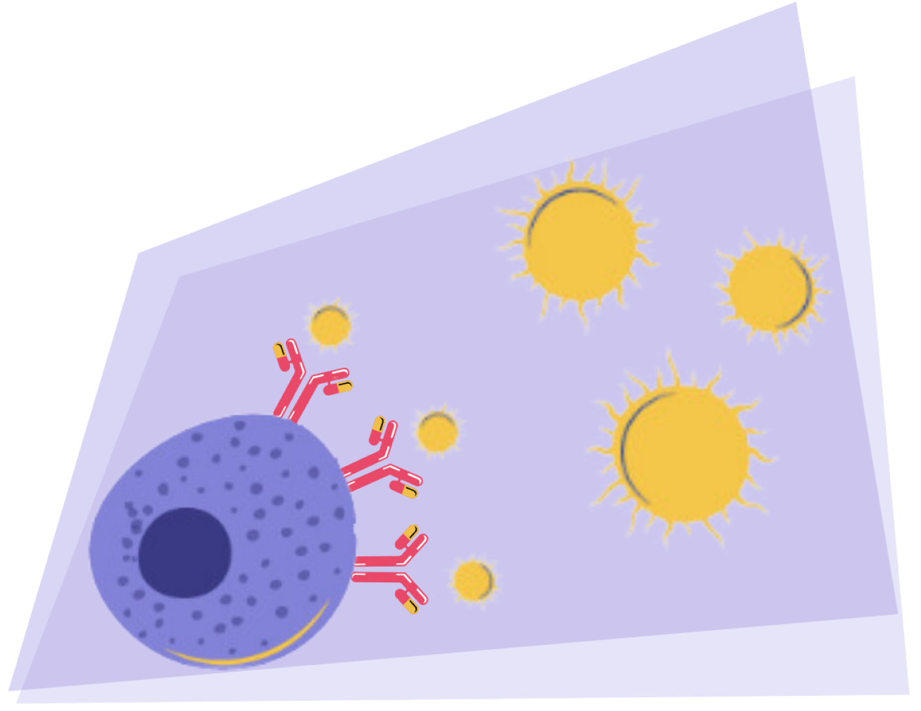 Illustration système immunitaire