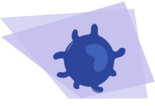illustration interleukines