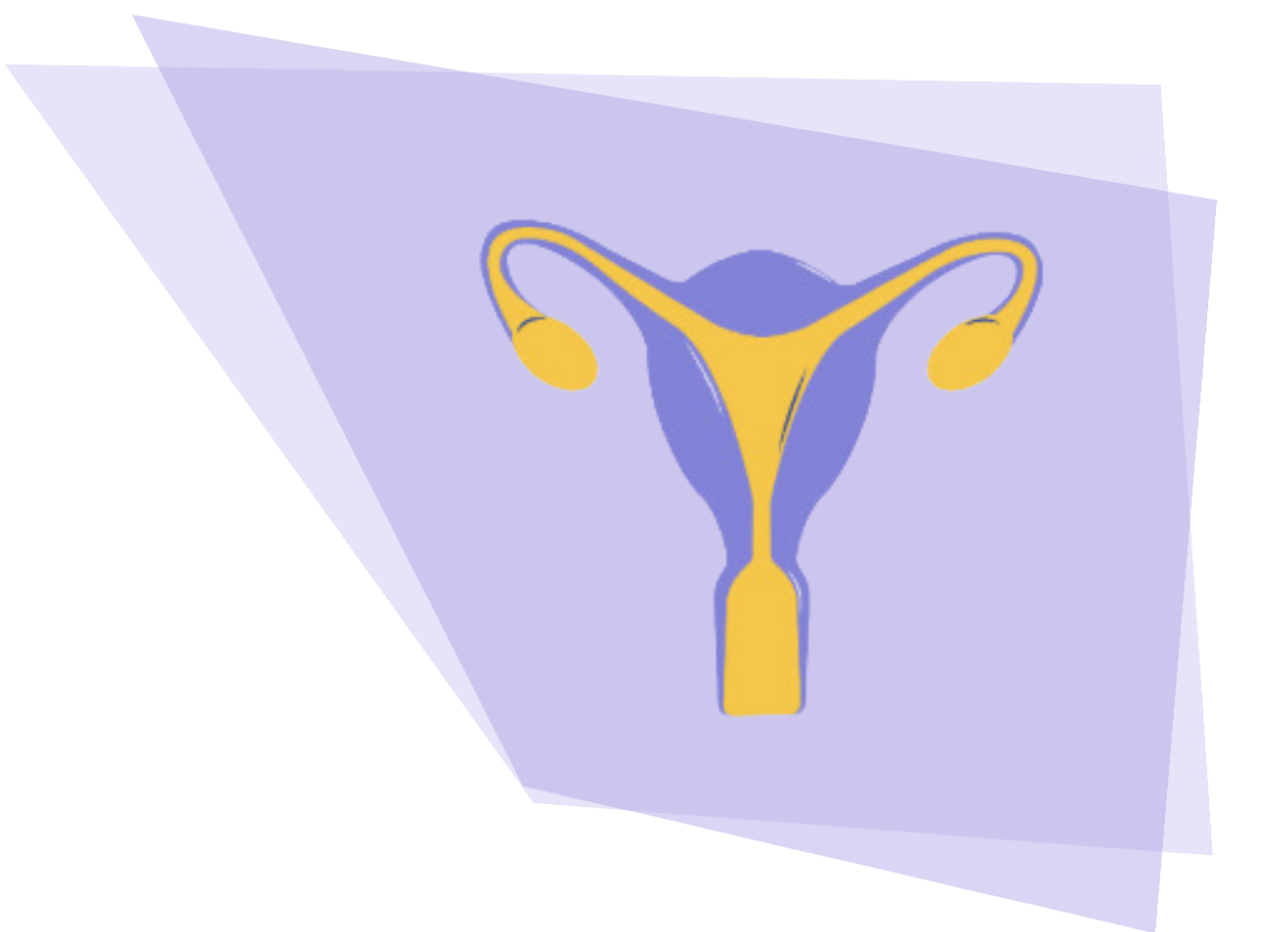 icône verneuil contraception