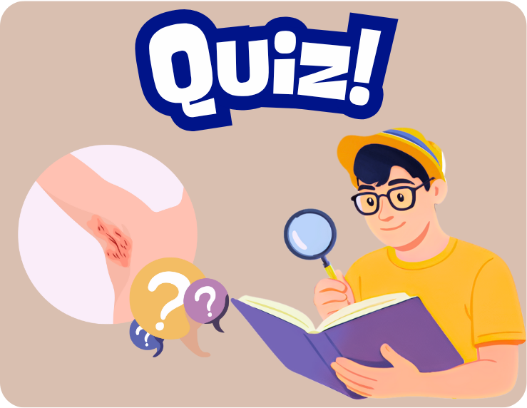 Quizz-Verneuil.png null