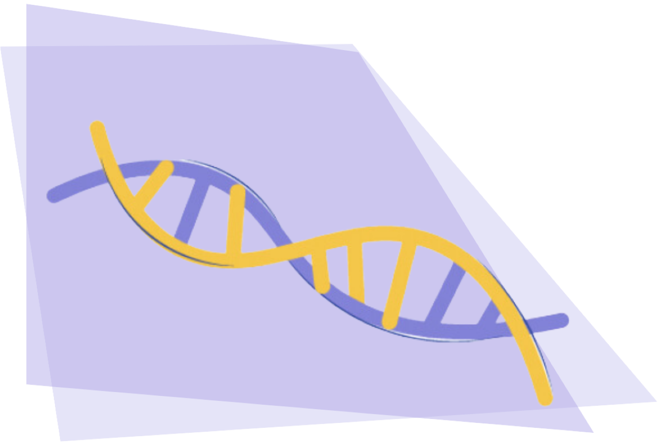 Illustration génétique