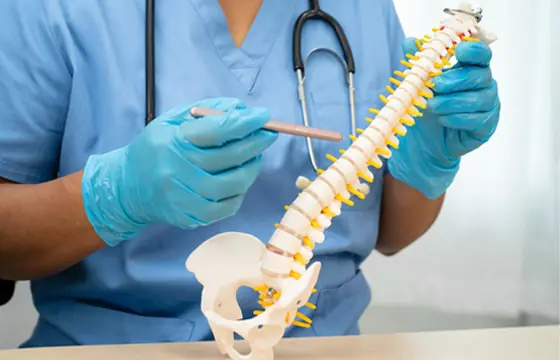 columna columna