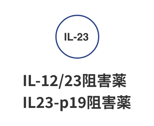 IL-12/23阻害薬・IL23-p19阻害薬