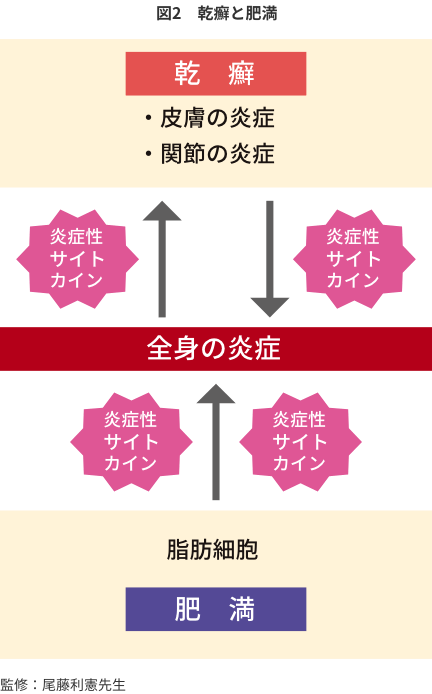 図2 乾癬と肥満