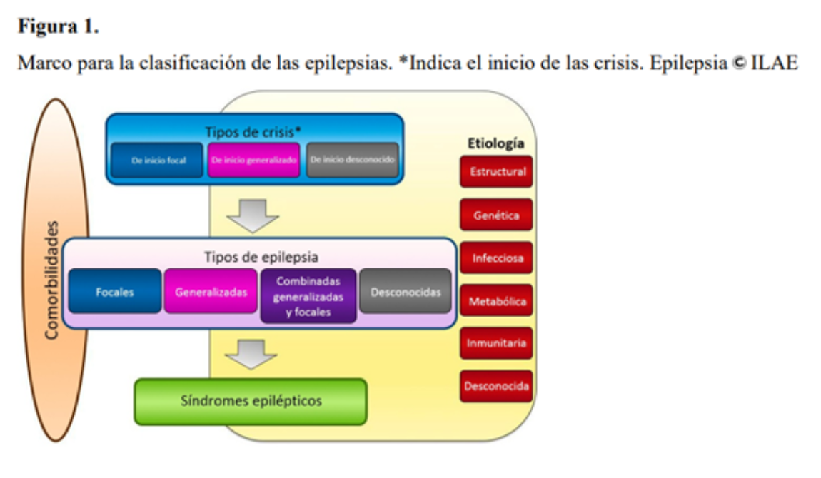 clasificacion epilepsias ILAE